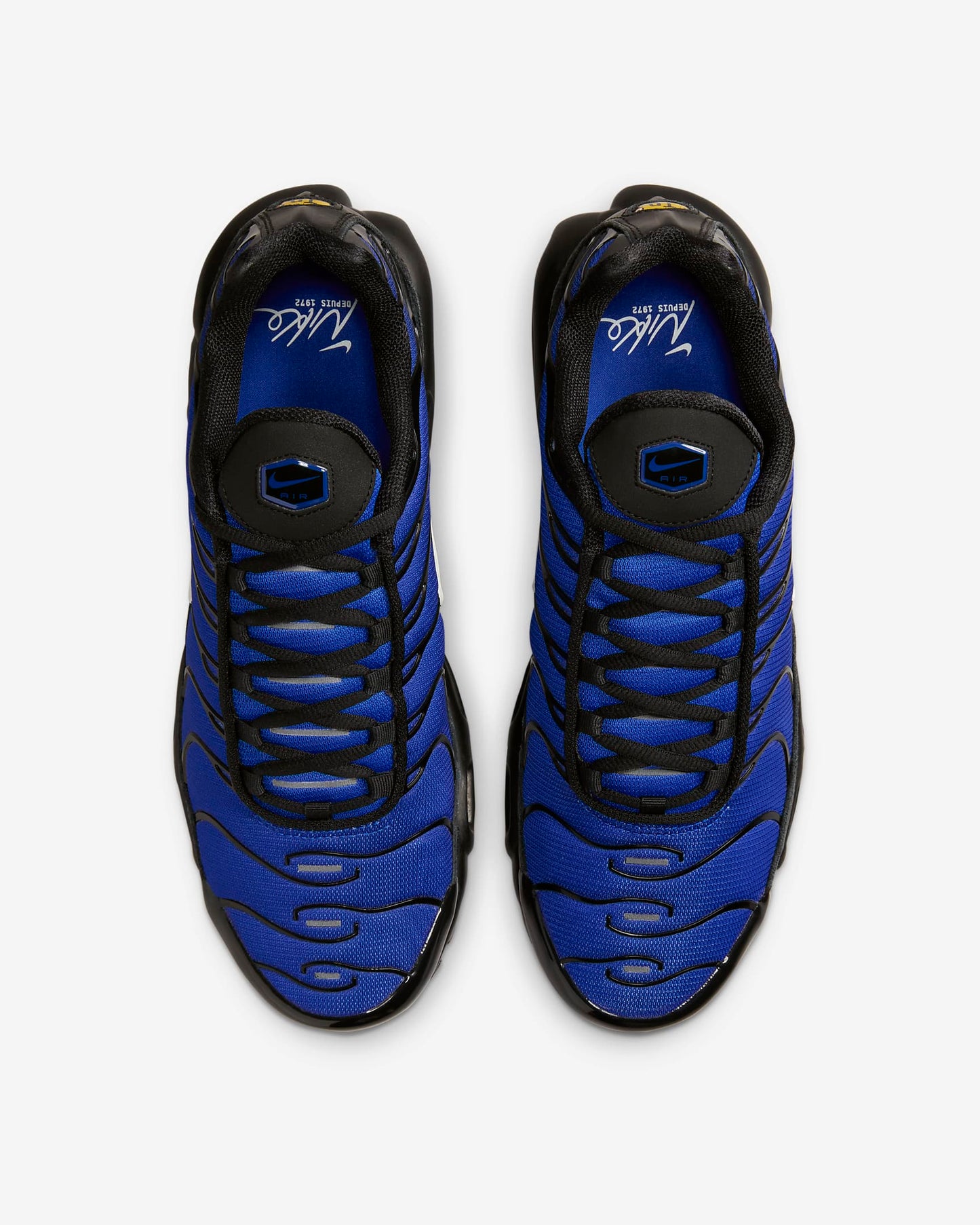 Nike Air Max Plus PRM